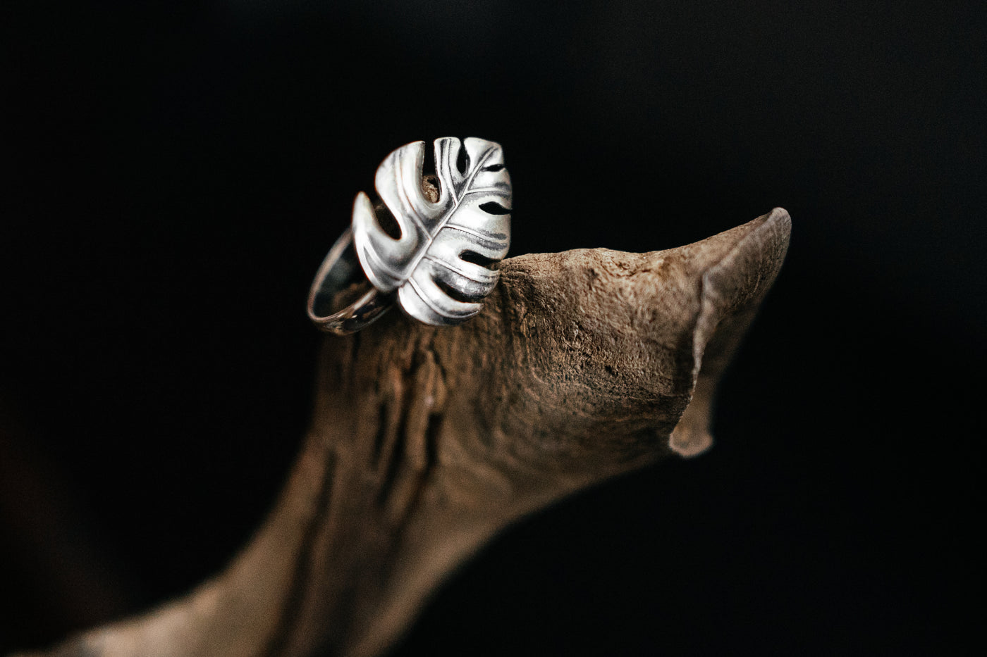 Monstera Leaf Ring